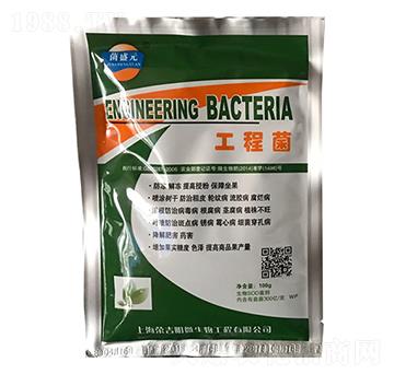 工程菌-榮吉明