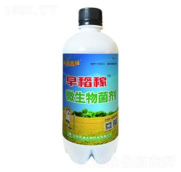 微生物菌劑-早稻稼-凱盛肥業(yè)