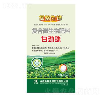 茶葉專用微生物菌劑-白勁珠-凱盛肥業(yè)