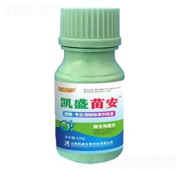 苗安-探路先鋒-凱盛肥業(yè)