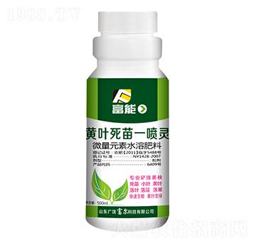 �S�~����һ���`-�����Ƽ�