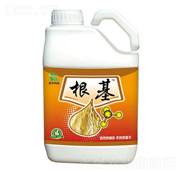 ����-�����Ƽ�