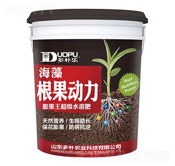 ��������-�����Ƽ�