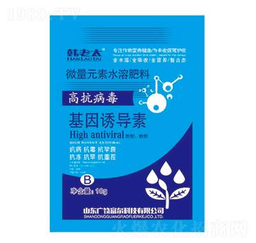 �����T����-�n��̫-�����Ƽ�