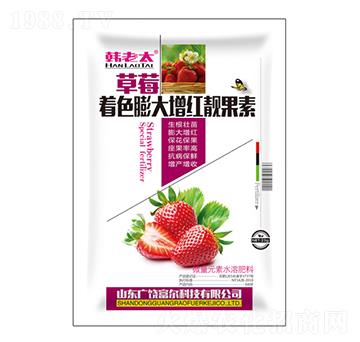 ��ݮ��ɫ������t�n����-�n��̫-�����Ƽ�