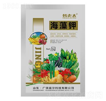 �����-�n��̫-�����Ƽ�