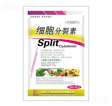 ����������-�����Ƽ�