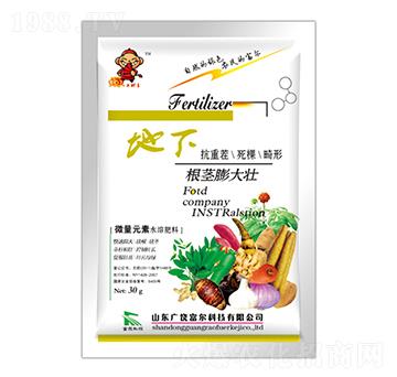 ���o����-�����Ƽ�