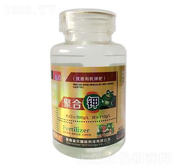 �ۺ�⛣�ƿ��-�����Ƽ�