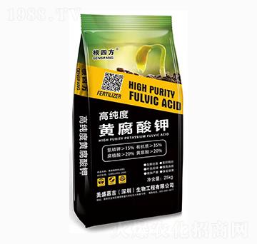 �߼����S�����-���ķ�-��ʢ�μ�