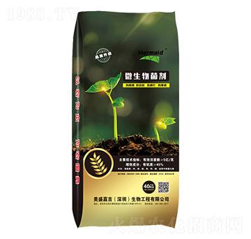 ΢�������-��ʢ�μ�