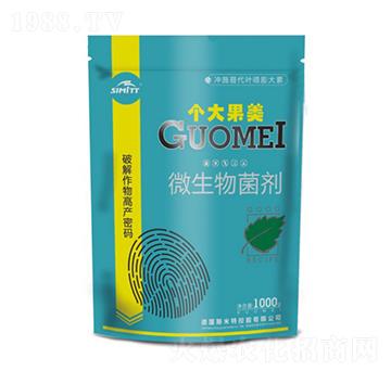 1000g΢�������-��(g��)�����-����S�r(n��ng)�I(y��)