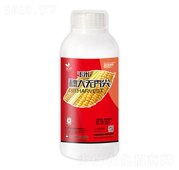 �������o�d��-��˲