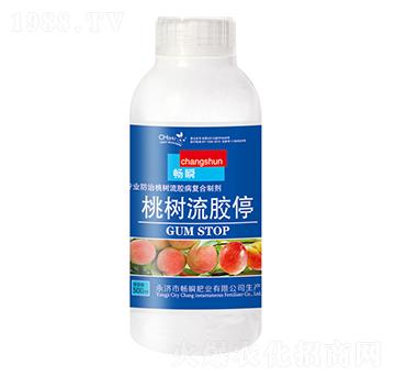 �Ҙ����zͣ-��˲