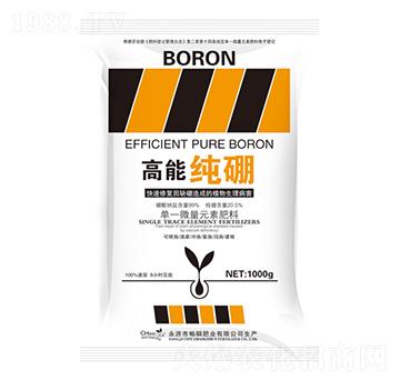 ���ܼ���-��˲