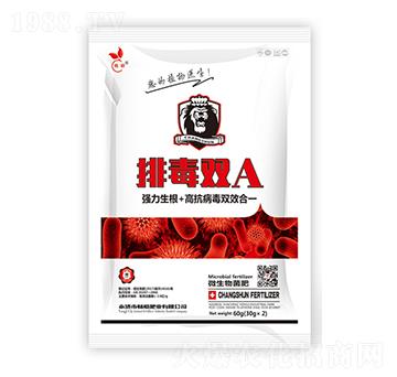 ��pA-��˲