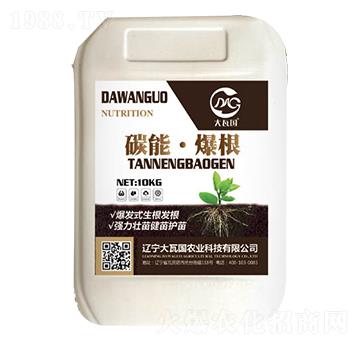 碳能·爆根-大瓦國農(nóng)業(yè)