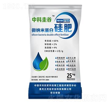 ΢�{�׵��׹��-�пƹ��-����