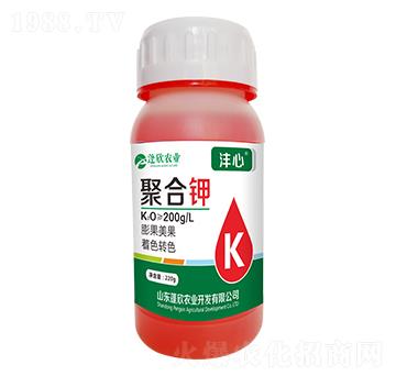 �ۺ��-����-�����r(n��ng)�I(y��)