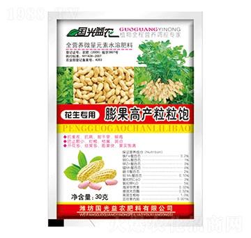 花生膨果高產(chǎn)粒粒飽-國(guó)光益農(nóng)