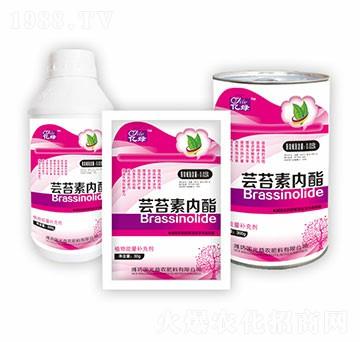 蕓苔素內(nèi)酯組合-國光益農(nóng)