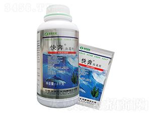 ���徫-�챼-�S���ʘI(y��)