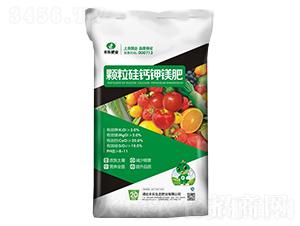 �w�����}��V��-�S���ʘI(y��)