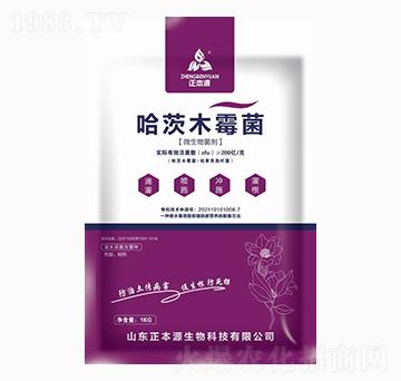 哈茨木霉菌-正本源生物