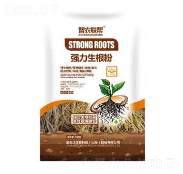 ����������-���_