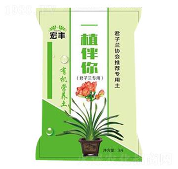 �����m���ü�ͥ�@ˇ�ЙC(j��)�I�B(y��ng)��-һֲ����-���S