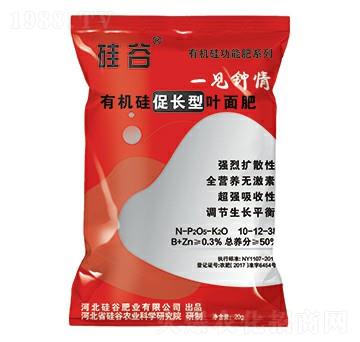 �ЙC(j��)����L(zh��ng)���~���-��