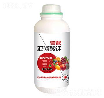 �������0-525-375+TE-���n-�ͺ�����