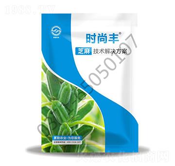 ֥�鼼�g(sh��)��Q����-�r(sh��)���S-ʥ���r(n��ng)�I(y��)