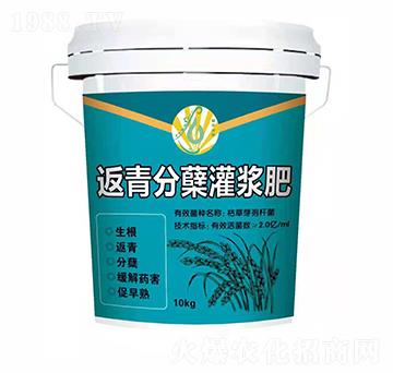 ������Y���{��-��ƽ��̼