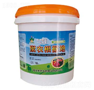 ���r(n��ng)����(j��)��-���r(n��ng)����