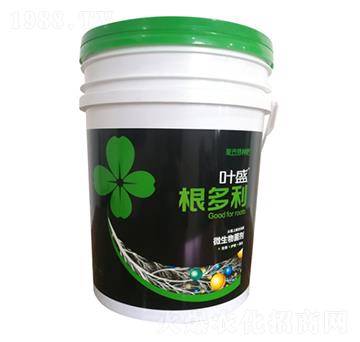 ������-�~ʢ-�~ʢ����