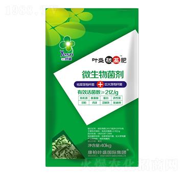 ΢�������-���}��-�~ʢ����