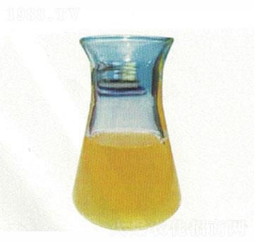 �۹Ȱ���-ɽ�|����