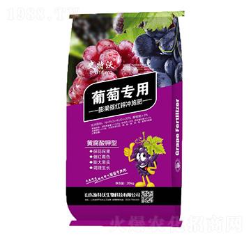 ���ь�(zhu��n)������߼t⛛_ʩ��-ʷ����-ʩ����