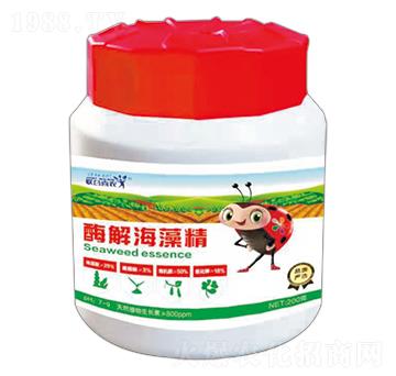 ø�⺣�徫-(li��n)��ϲ�r