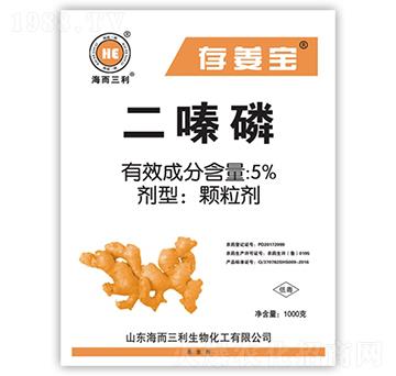 5%�����-�潪��-��������