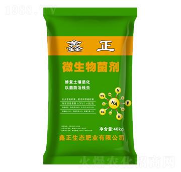 ΢�������-����