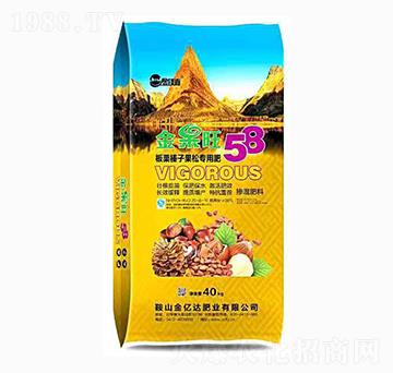 ������ӹ��Ɍ�(zhu��n)�÷�-���|�_(d��)�ʘI(y��)