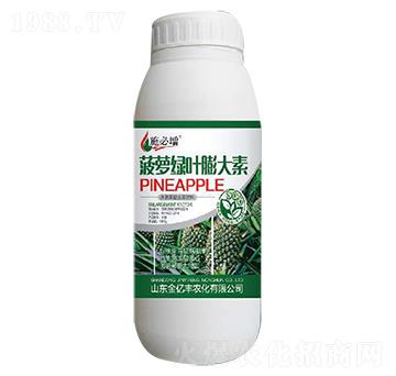 菠蘿綠葉膨大素-金億豐