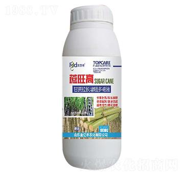 甘蔗拉長增粗多糖液-蔗旺高-金億豐