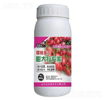 櫻桃番茄膨大拉長素-金億豐