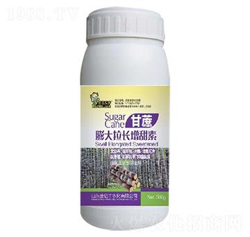 含氨基酸水溶肥-甘蔗膨大拉長增甜素-金億豐