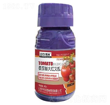 番茄膨大紅又靚-金億豐