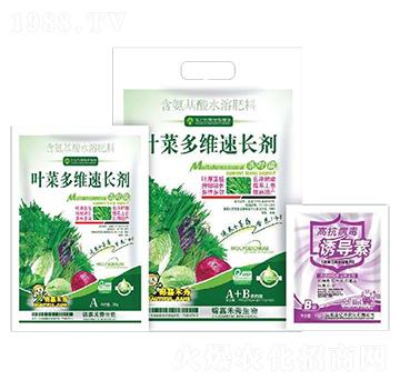 含氨基酸水溶肥-葉菜多維速長劑+高抗病毒誘導素-金億豐