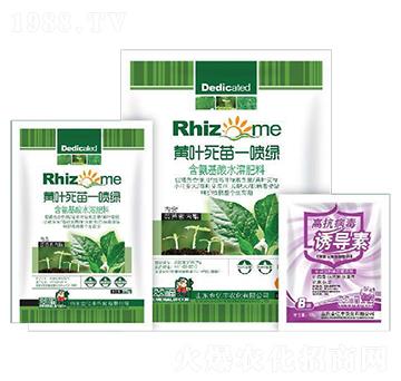 含氨基酸水溶肥-黃葉死苗一噴綠+高抗病毒誘導素-金億豐